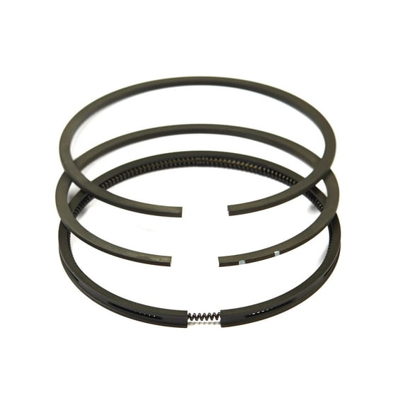 Briggs & Stratton OEM 499996  Ring Set-Std