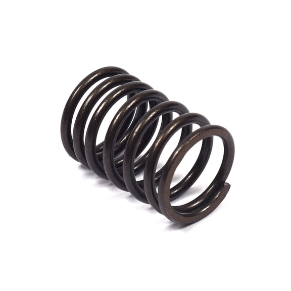 Briggs & Stratton Valve Spring | 690520