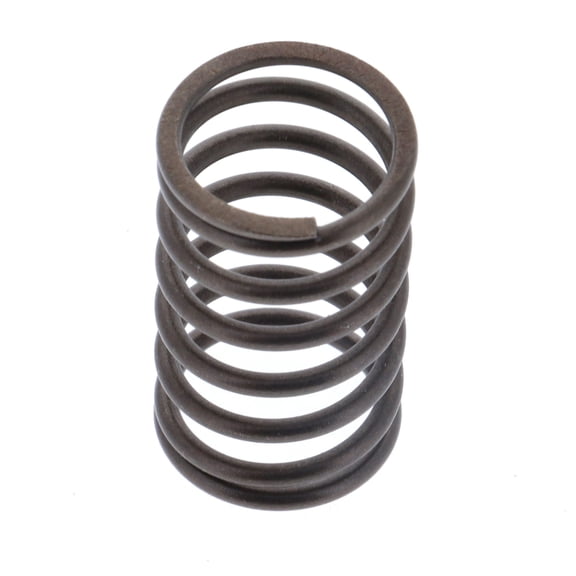 Briggs & Stratton Valve Spring | 691270