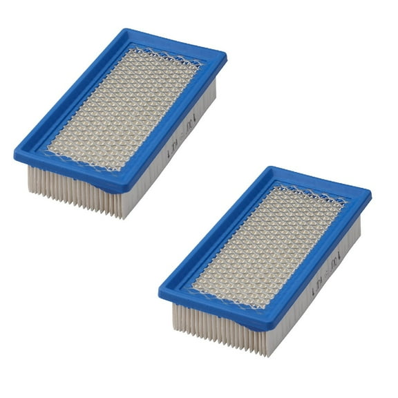 Briggs & Stratton OEM 691643 691643-2PK Air Filters (2 Pack)