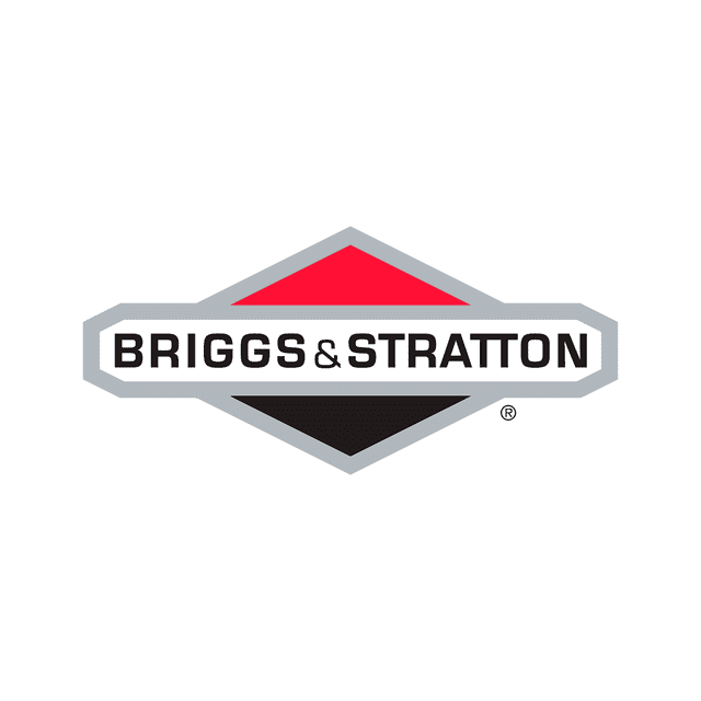 Briggs & Stratton OEM 691844  Seat-Valve