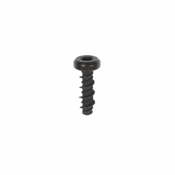 Briggs & Stratton Screw | 698304