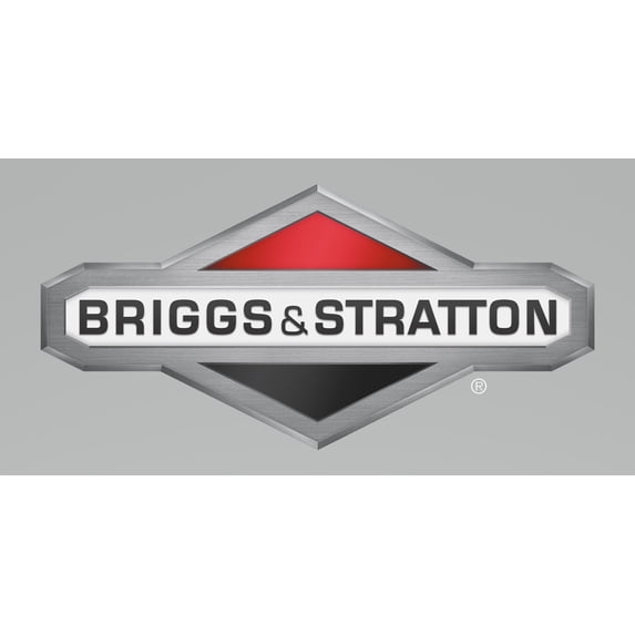 Briggs & Stratton OEM 806861 Washer