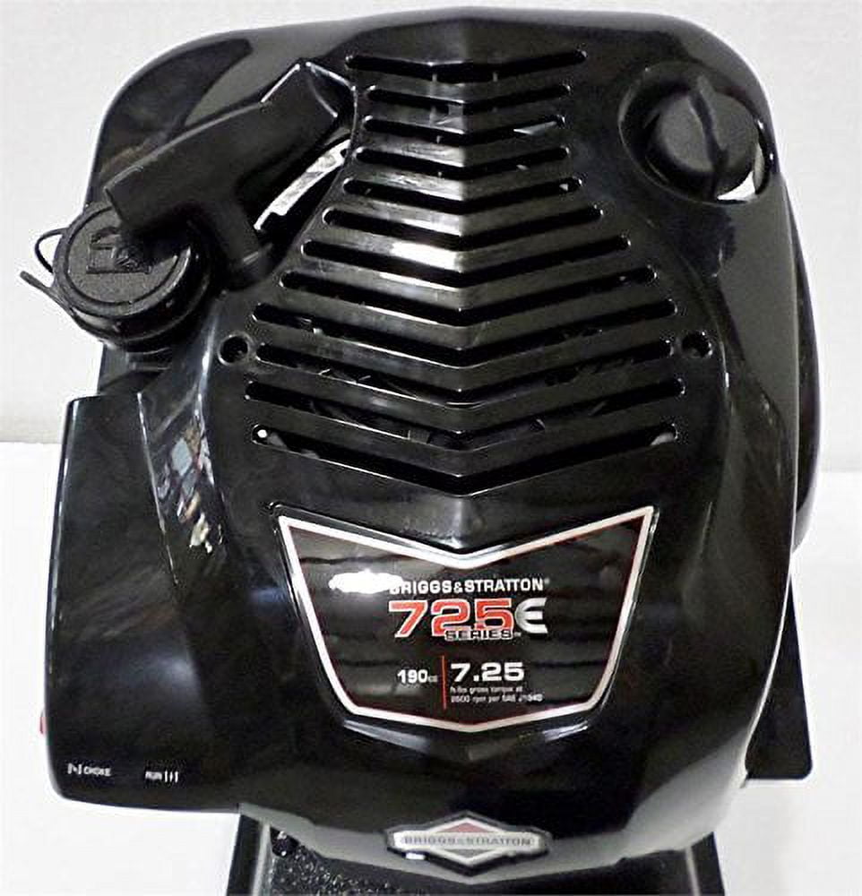 Buy Briggs Stratton 7.25 TP Vertical Engine at Ubuy Bulgaria