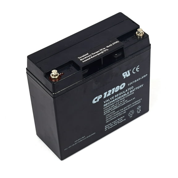 Briggs and Stratton 193463GS Battery