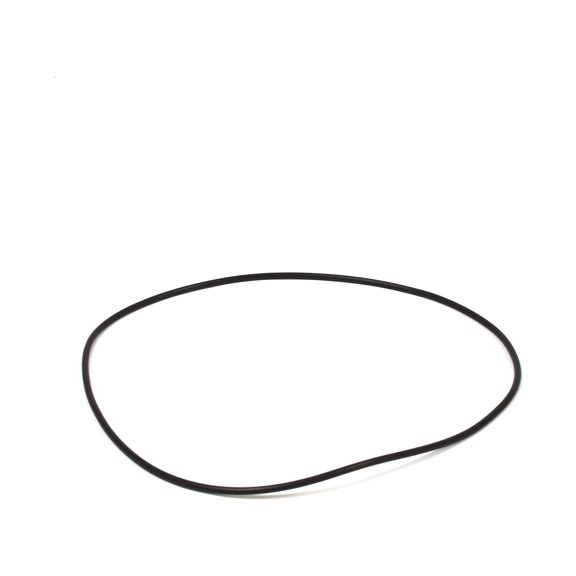 Briggs and Stratton 205325GS O-Ring