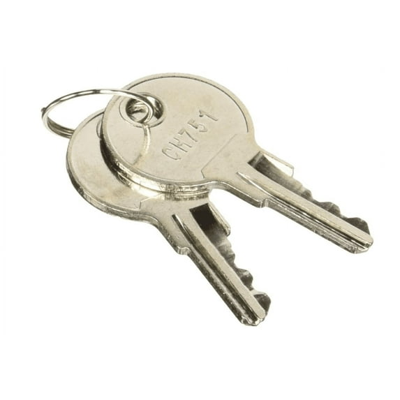 Briggs and Stratton 314290GS Key Set