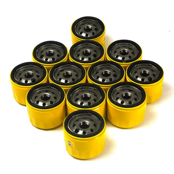 Briggs and Stratton 4206 ELS Oil Filter (12 of 696854)