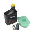 Briggs and Stratton 5107B Maintenance Kit - Walmart.com