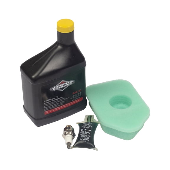 Briggs and Stratton 5107B Maintenance Kit