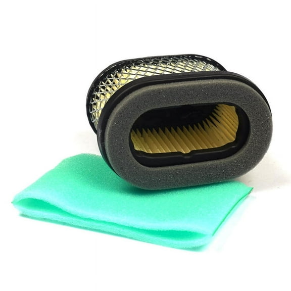 Briggs and Stratton Air Filter with Pre-Cleaner