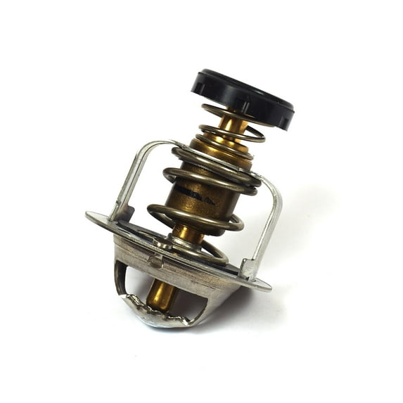 Briggs and Stratton Thermostat