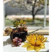 OM Gallery Capiz Shell Lotus Tea Light Holder in Yellow