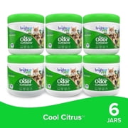 Bright Air Super Odor Eliminator Air Freshener, Pet Cool Citrus Scent, 14oz, Case of 6