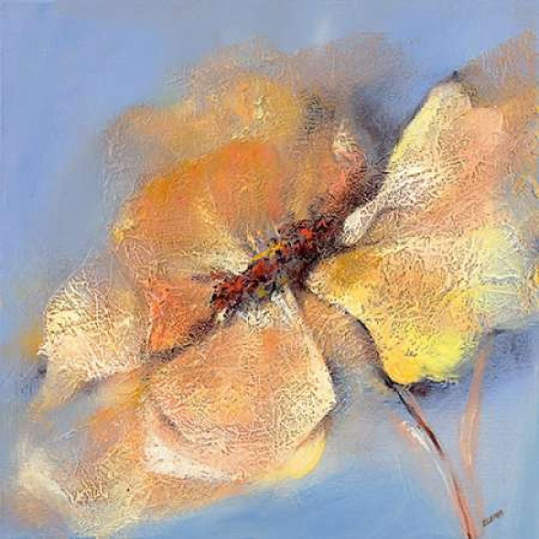 Bright Anemone I Canvas Art - Elena Filatov (24 x 24)