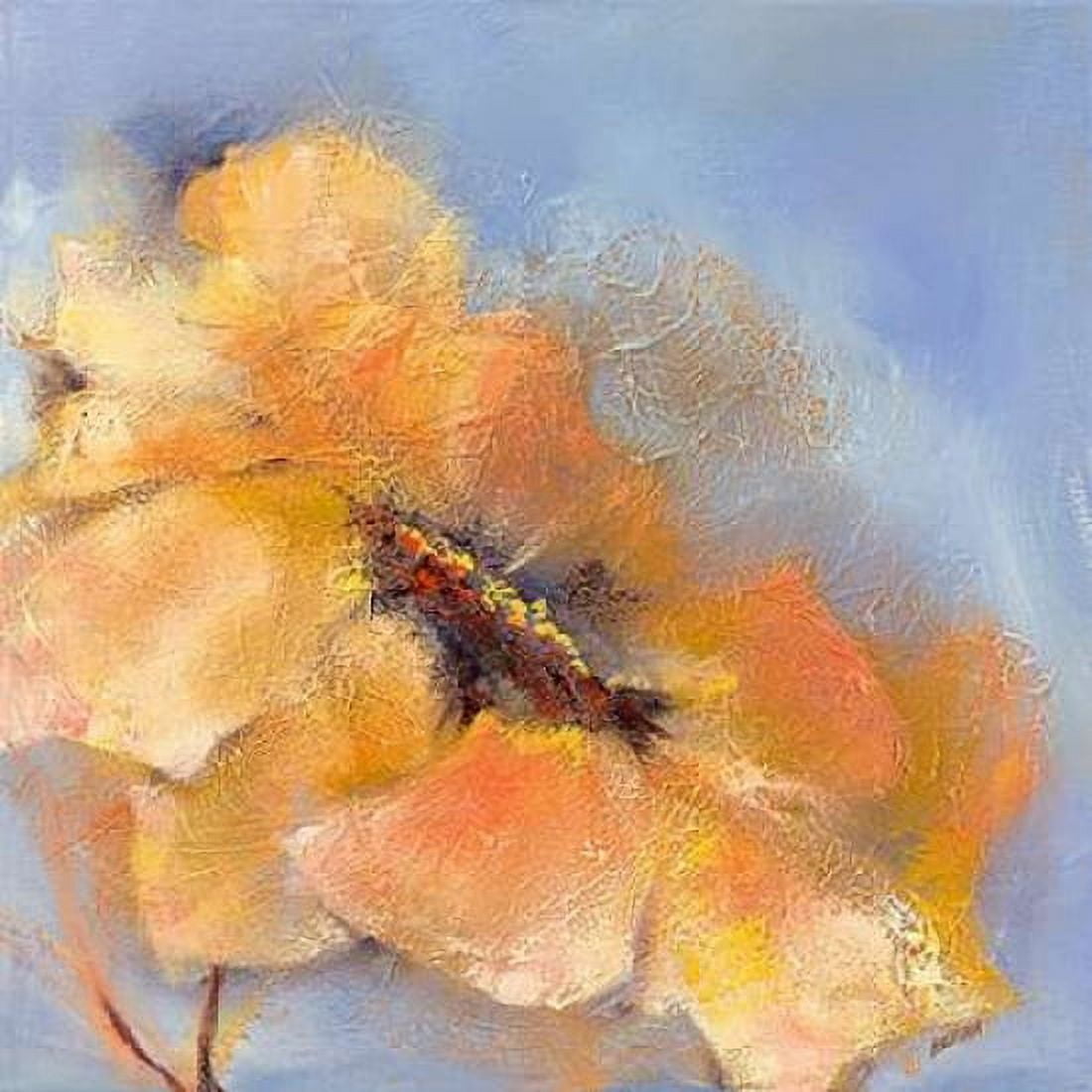 Bright Anemone II Canvas Art - Elena Filatov (24 x 24)