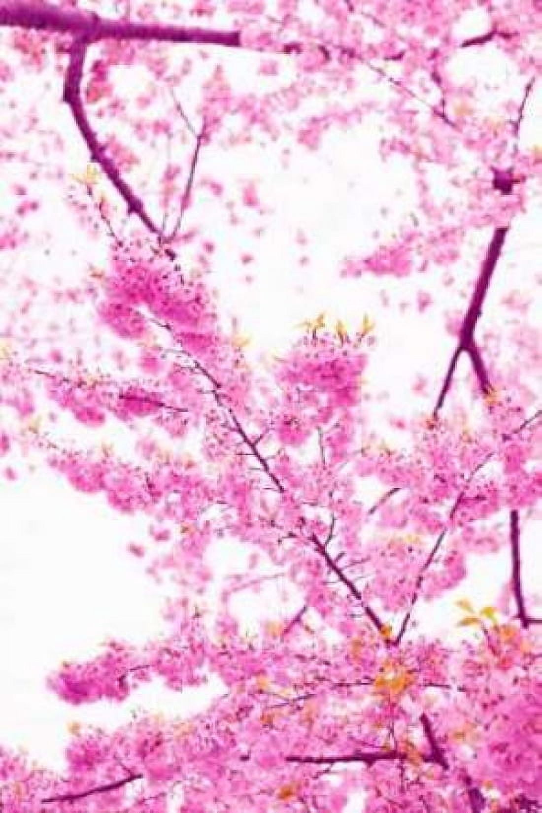 Bright Blooms II Canvas Art - Karyn Millet (24 x 36)