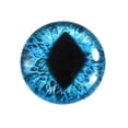 thumbnail image 1 of Bright Blue Cat Dragon Glass Eyes, 1 of 5