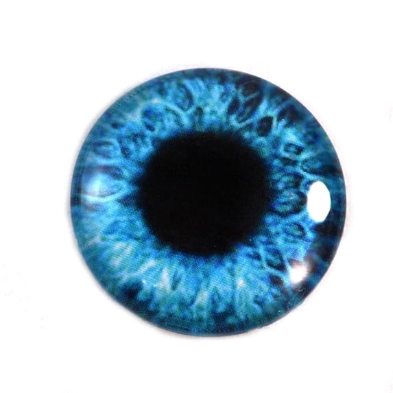 Bright Blue Human Glass Eyes
