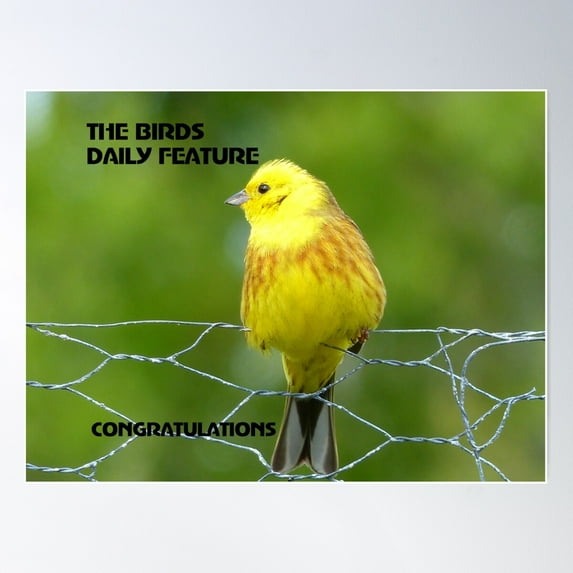 Bright & Cheerful Challenge Banner - Poster Wall Art, Modern Wall Decor For Living Room Bedroom, 24x36 UNFRAMED