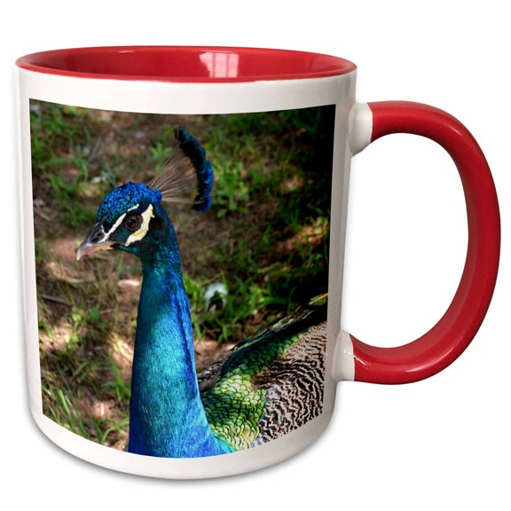 3drose, Bright Colored Peacock, 11oz Two-tone Red Mug