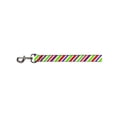thumbnail image 1 of Bright Colorful Colors White Diagonal Striped Pattern Fun Animal Pet Dog Leash, 1 of 1