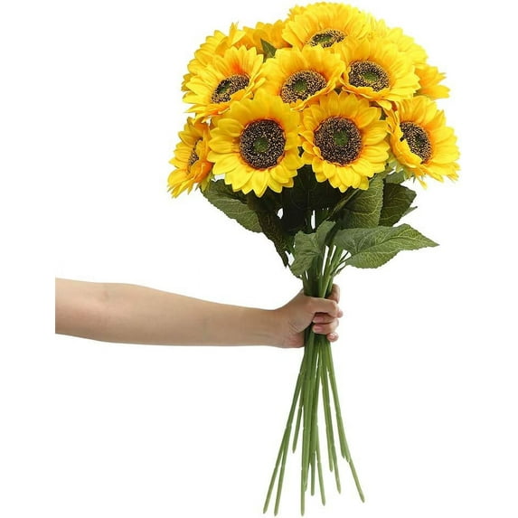 Bright Colors & Long Stem Sunflowers, A Timeless Decorative Delight