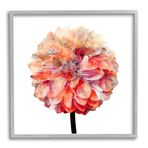 Bright Coral Watercolor Bloom Dahlia Flower Botanical & Floral Framed Art Print Wall Art, 17x17