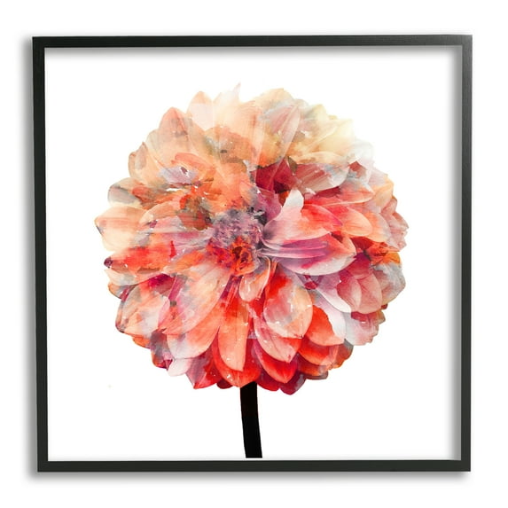 Bright Coral Watercolor Bloom Dahlia Flower Botanical & Floral Framed Art Print Wall Art, 17x17