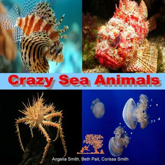 Bright: Crazy Sea Animals (Paperback)