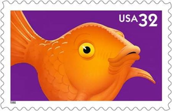 Bright Eyes Gold Fish Canvas Art - US POSTAL SERVICE (24 x 36)