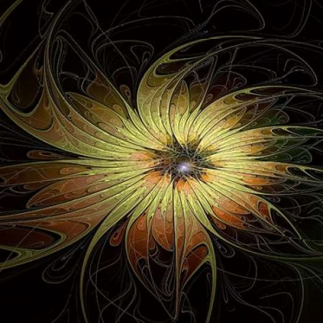 Bright Flower Canvas Art - Amanda Moore (24 x 24)