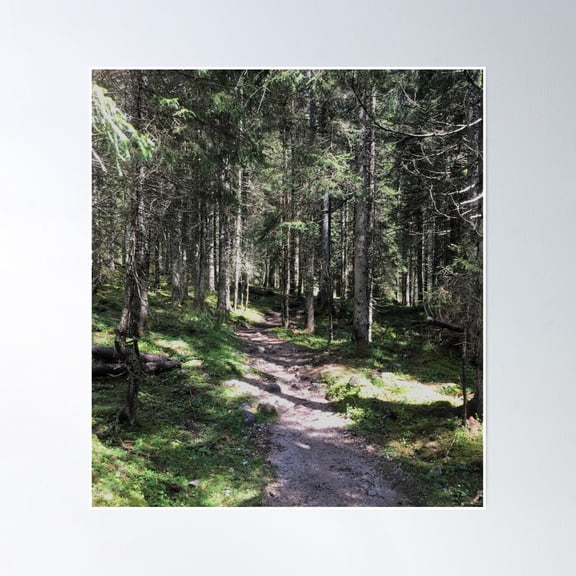 Bright Forest Path Poster Wall Art, Modern Wall Decor, 8x12 UNFRAMED