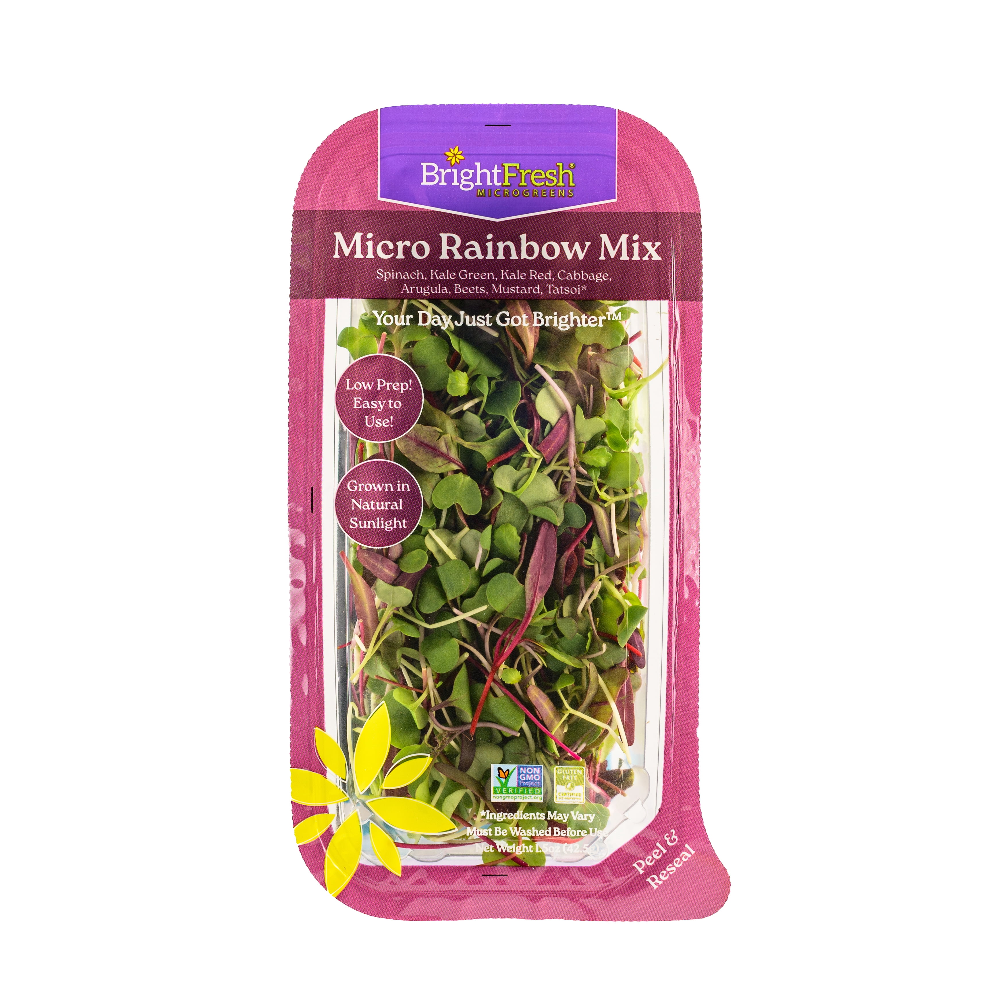 Bright Fresh Micro Rainbow Mix 1.5 Oz