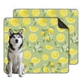 thumbnail image 1 of Bright Fruit Pattern 35"x41" Washable Puppy Pads, Reusable Dog Pee Pads with Non-Slip Bottom for Indoor Housebreaking and Accidents, 1 of 8