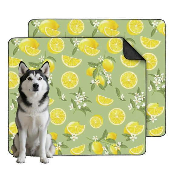 Bright Fruit Pattern 35"x41" Washable Puppy Pads, Reusable Dog Pee Pads with Non-Slip Bottom for Indoor Housebreaking and Accidents