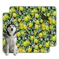 thumbnail image 1 of Bright Fruit Patterns Design Washable Dog Pee Pads, 35"x41" Extra Large Reusable Potty Pad with Non-Slip Bottom for Home Use, 1 of 8