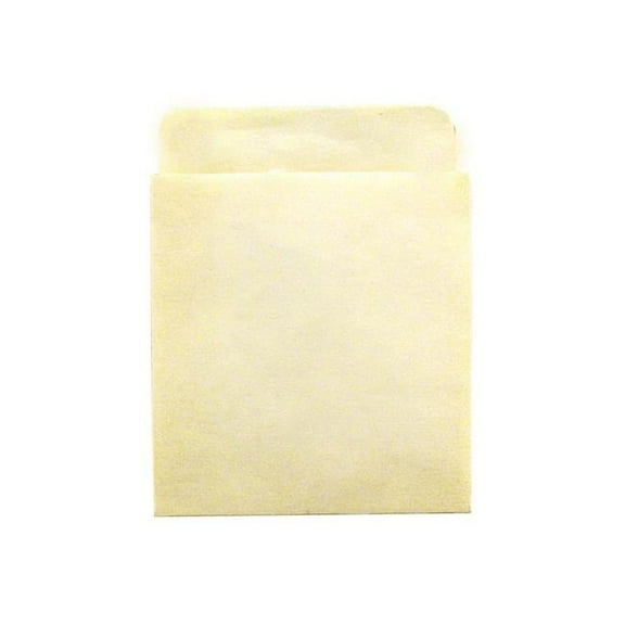 Bright Library Pockets 300Ct Manila