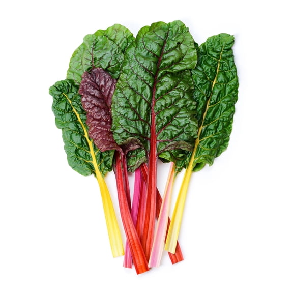 Sherwood's Seeds 20 Bright Lights Swiss Chard Beet Tops Heirloom Plant Seeds