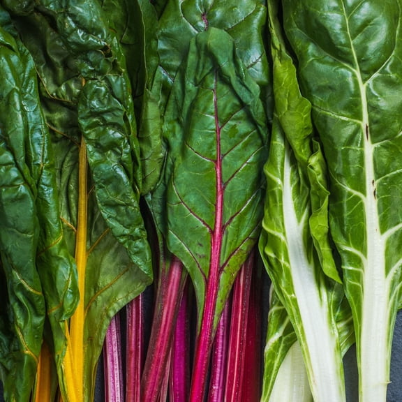Bright Lights Swiss Chard Plants, 2 Live Plants in 4 in Pots, Non-GMO