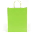 thumbnail image 1 of Bright Lime Green Large Gift Bag Case Pack 60, 1 of 1