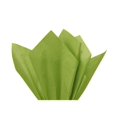 thumbnail image 1 of Bright Lime Tissue Paper Squares, Bulk 10 Sheets, Presents by Feronia packaging, Made In USA Large 15 Inch x 20 Inch, 1 of 14