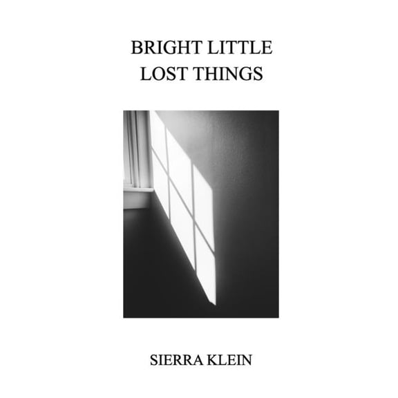 Bright Little Lost Things, (Paperback)