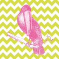 thumbnail image 1 of Bright Menagerie Toucan Poster Print by Wild  Portfolio, 1 of 2