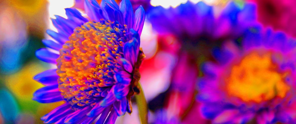 Bright Neon Flowers Canvas Art - Ross Germaniuk Design Pics (42 x 18)