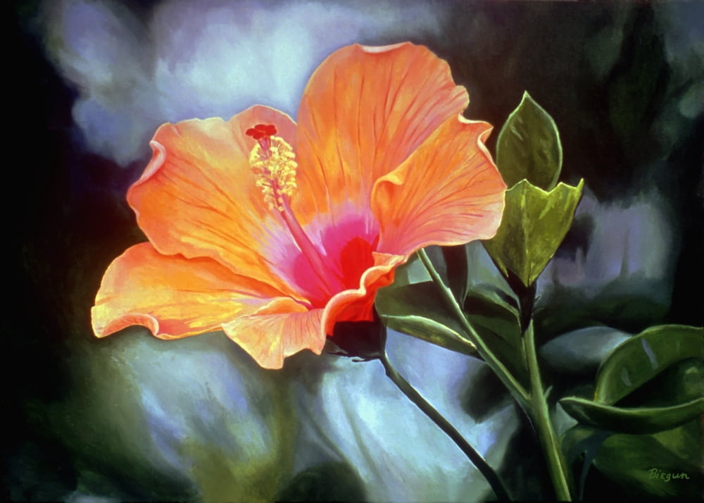Bright Orange Hibiscus Flower Oil Painting Canvas Art - Fay Biegun Design Pics (36 x 26)