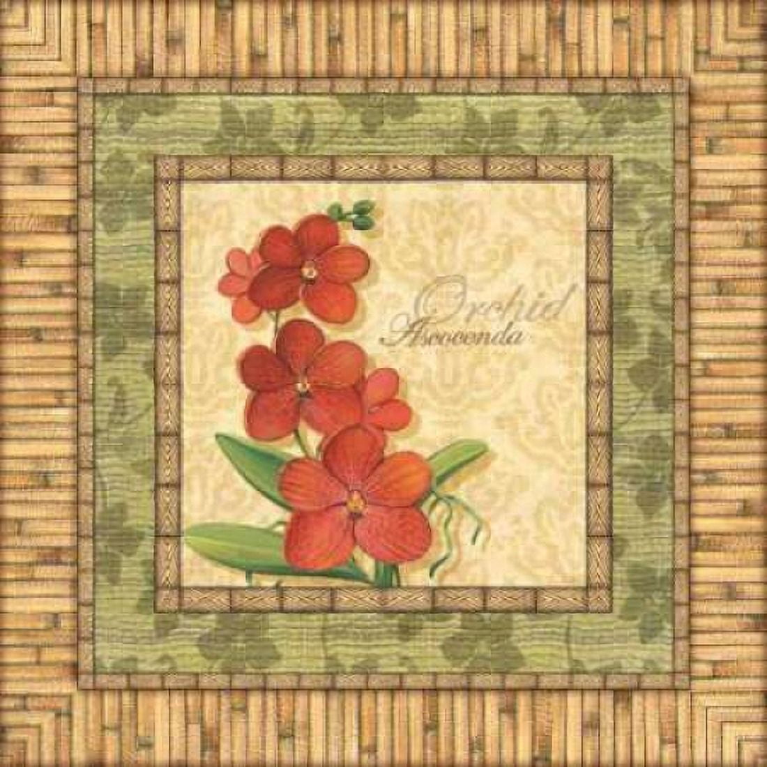 Bright Orchids I Canvas Art - Charlene Audrey (24 x 24)