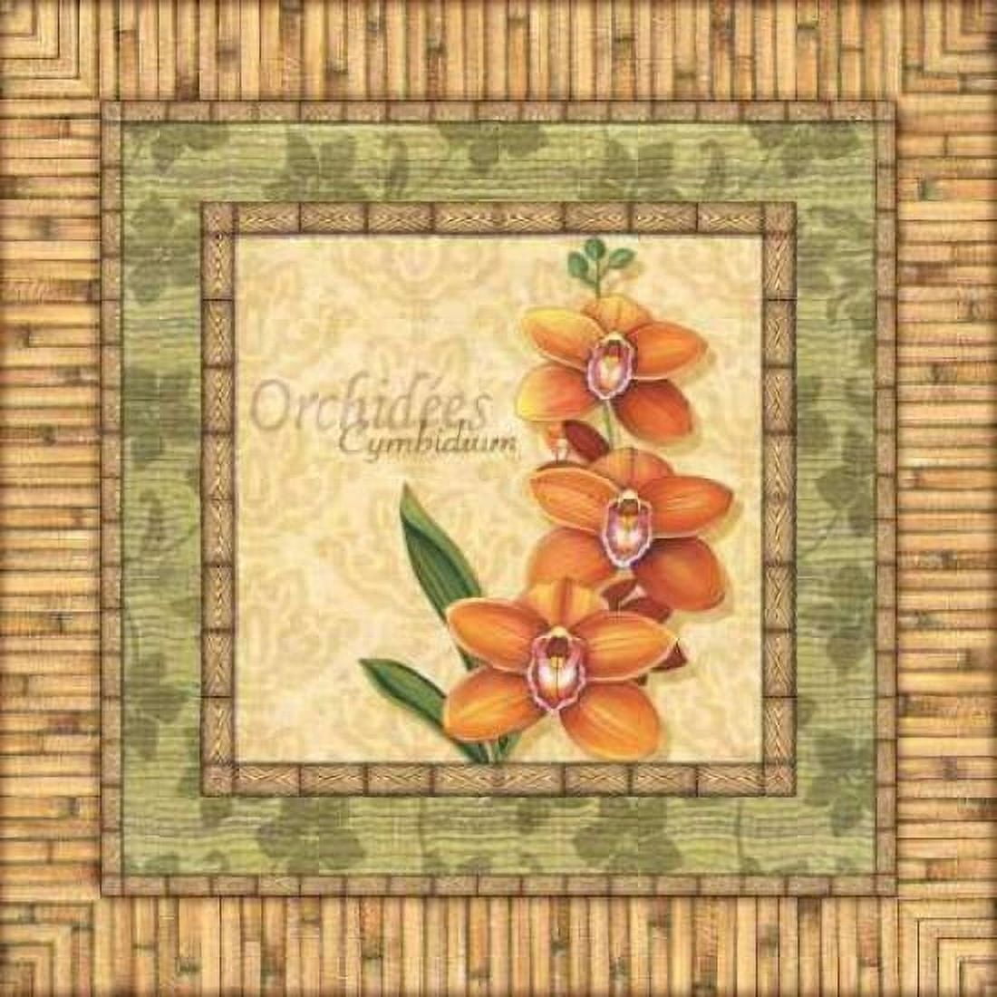 Bright Orchids II Canvas Art - Charlene Audrey (24 x 24)
