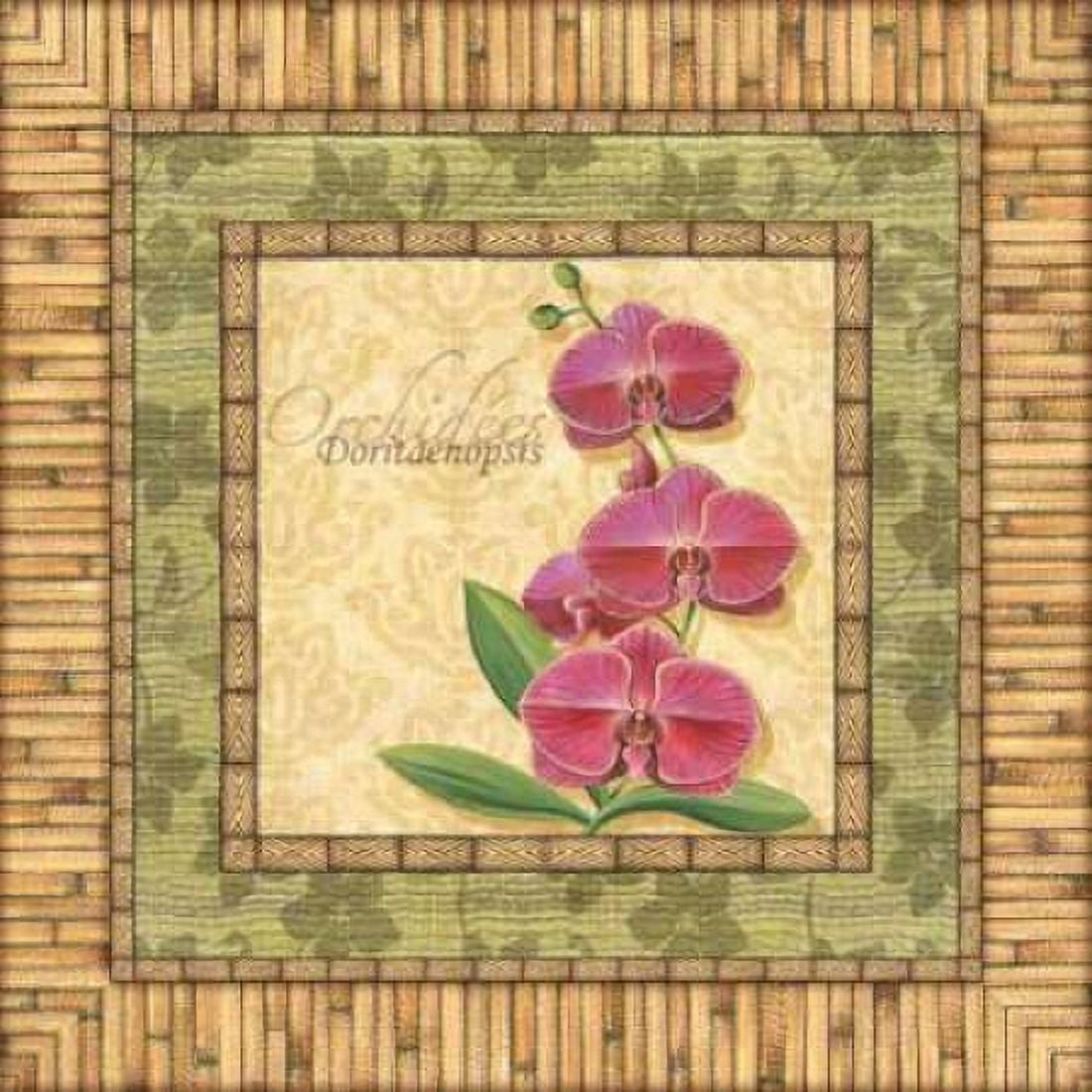 Bright Orchids IV Canvas Art - Charlene Audrey (24 x 24)