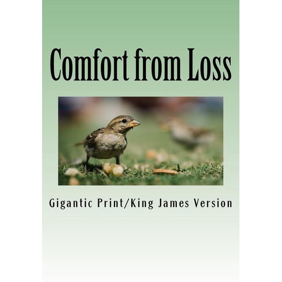 Bright Reads Books: Comfort from Loss: Giant Print Edition (Paperback)